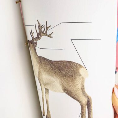 🐋 Arktyka - Mega Pakiet aktywności dla dzieci do druku - obrazek 17