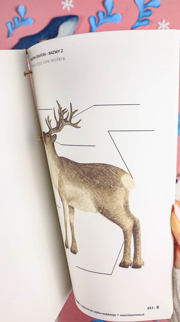 Arktyka Mega Pakiet karty klamerkowe trojdzielne countclip teatrzyk beluga orka ocean arktyczny montessori printables pdf 27