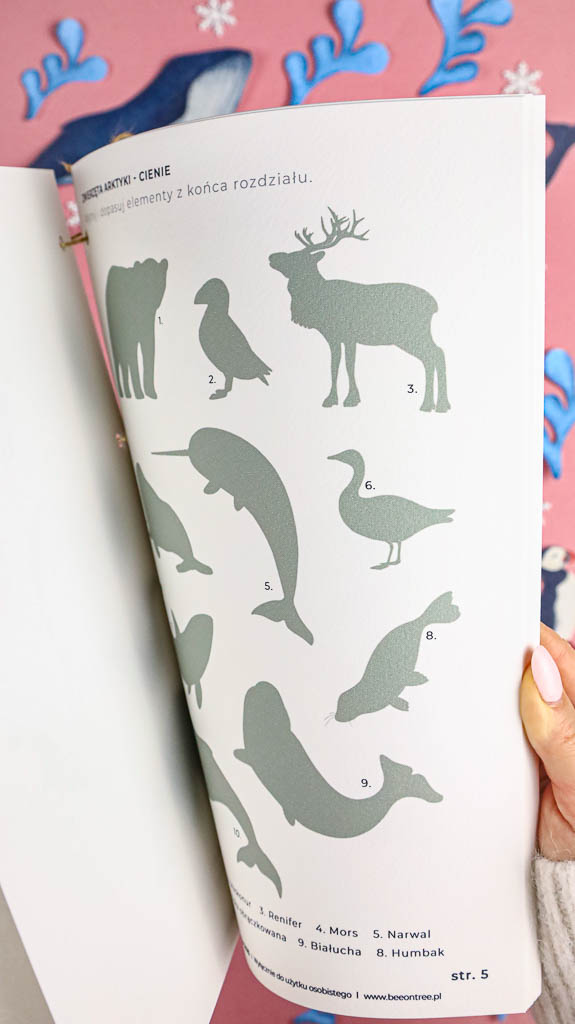 Arktyka Mega Pakiet karty klamerkowe trojdzielne countclip teatrzyk beluga orka ocean arktyczny montessori printables pdf 30