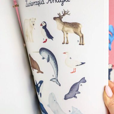 🐋 Arktyka - Mega Pakiet aktywności dla dzieci do druku - obrazek 20