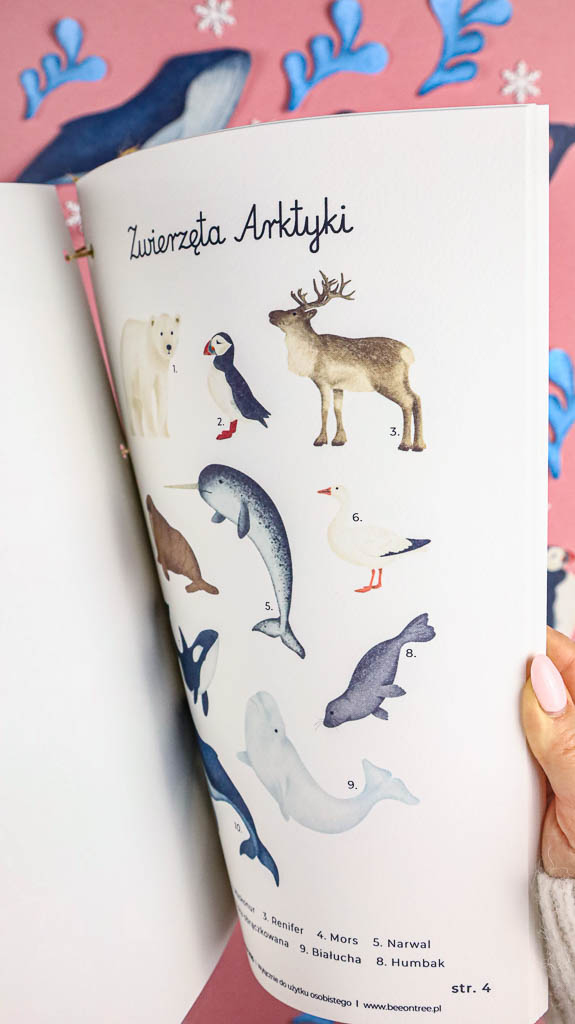 Arktyka Mega Pakiet karty klamerkowe trojdzielne countclip teatrzyk beluga orka ocean arktyczny montessori printables pdf 31