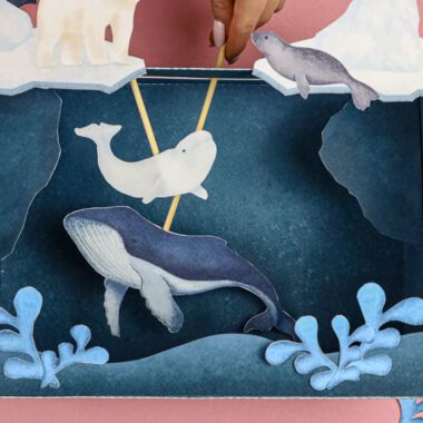 🐋 Arktyka - Mega Pakiet aktywności dla dzieci do druku - obrazek 3