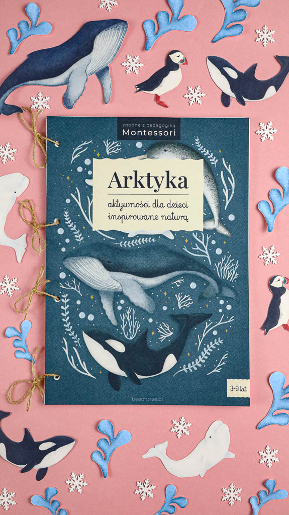Arktyka Mega Pakiet karty klamerkowe trojdzielne countclip teatrzyk beluga orka ocean arktyczny montessori printables pdf 45