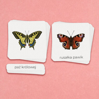 🌱 Niezbędnik Wiosenny - 3 zestawy razem w wyjątkowej ofercie - obrazek 19