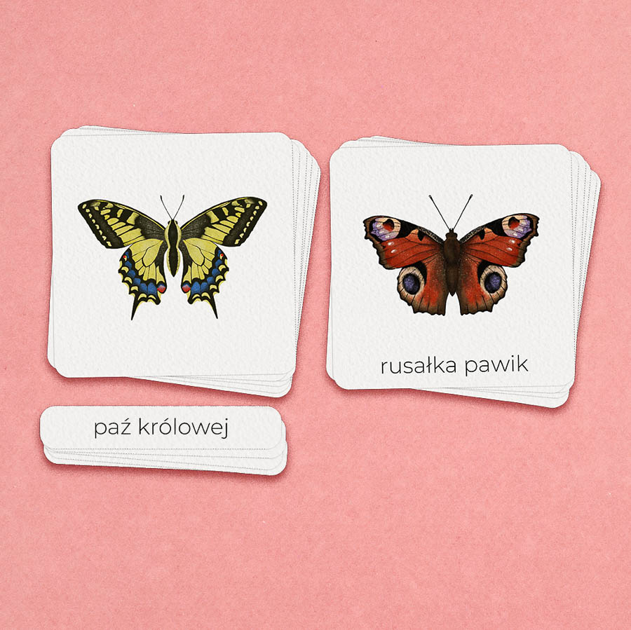 Motyle pakiet montessori karty trojdzielne rusalka pawik modraszek wieszczek bielinek cytrynek dla dzieci 3 lata 4 5 6 lat 102