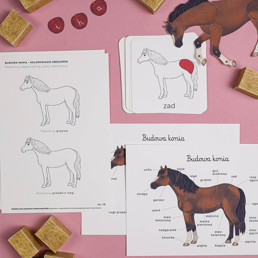 Konie Horses Montesorri Beeontree.pl 204