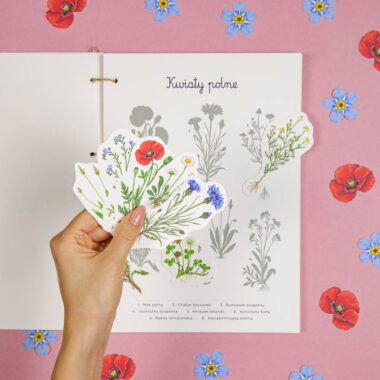 🌸 Kwiaty Polne - Mega Pakiet aktywności dla dzieci do druku 21 🌸 Kwiaty Polne - Mega Pakiet aktywności dla dzieci do druku - obrazek 6