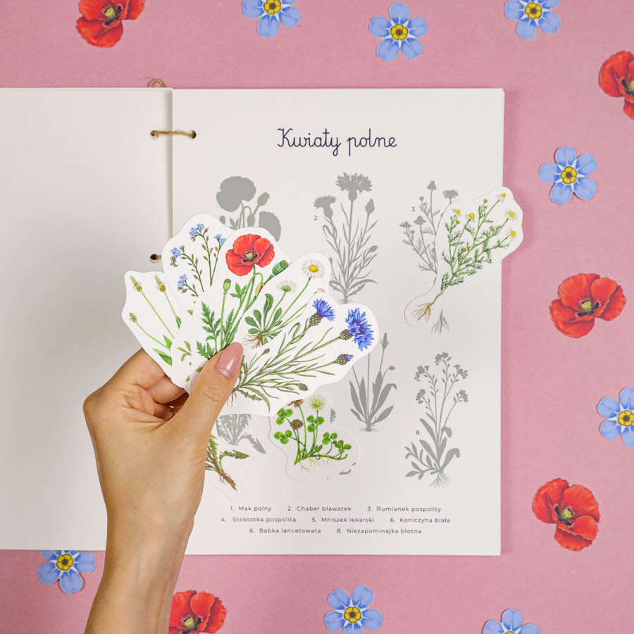 🌸 Kwiaty Polne - Mega Pakiet aktywności dla dzieci do druku 5 Kwiaty polne Moj zielnik Beeontree.pl Matematyka Jezyk 339