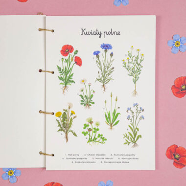 🌸 Kwiaty Polne - Mega Pakiet aktywności dla dzieci do druku 19 🌸 Kwiaty Polne - Mega Pakiet aktywności dla dzieci do druku - obrazek 4