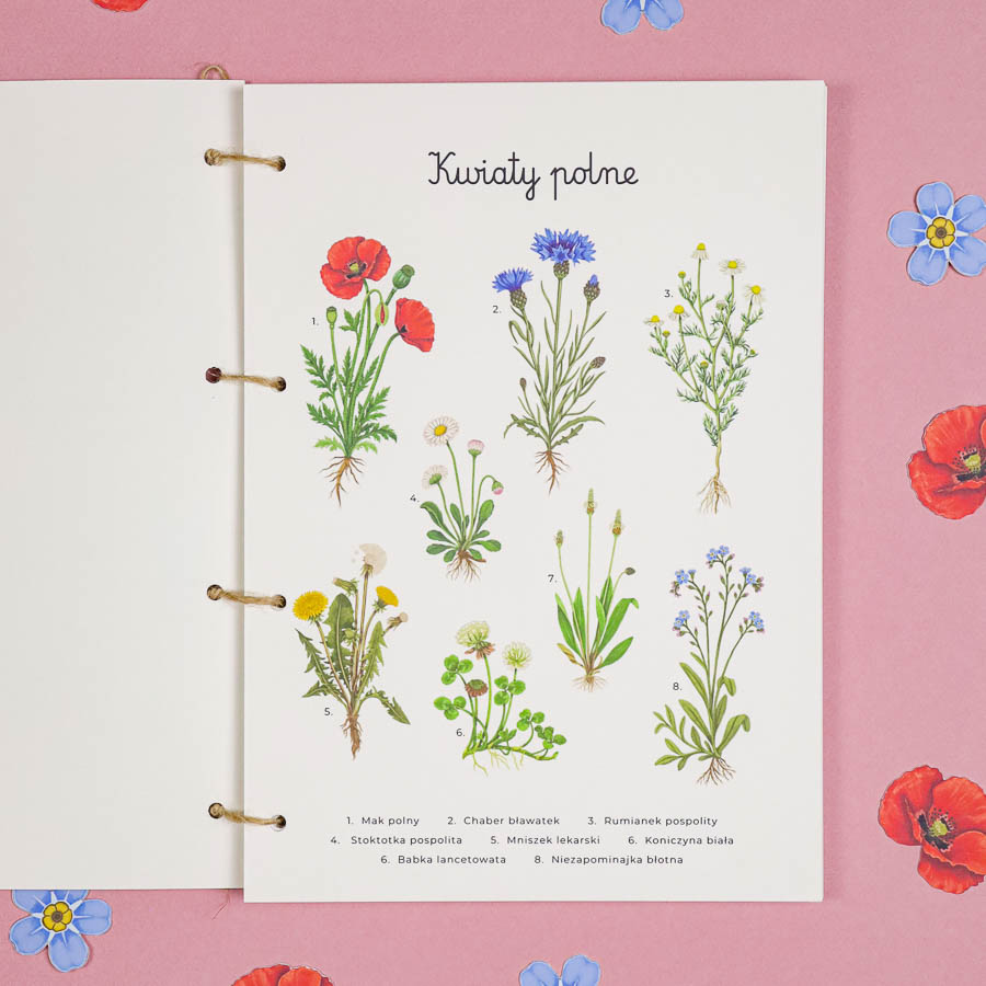🌸 Kwiaty Polne - Mega Pakiet aktywności dla dzieci do druku 3 Kwiaty polne Moj zielnik Beeontree.pl Matematyka Jezyk 341