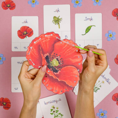 🌸 Kwiaty Polne - Mega Pakiet aktywności dla dzieci do druku 17 🌸 Kwiaty Polne - Mega Pakiet aktywności dla dzieci do druku - obrazek 2